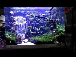 Waterfalls Aquascape In Tank 60x40x50cm Youtube Aquascaping Ikan Akuarium Aquarium Air Tawar