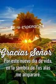 Muchas personas en ocasiones, se olvidan de como dios nos protege en cada paso que damos y aunque nos reflexiones de buenos días cristianas. Imagenes De Buenos Dias Cristianas Dios Bendiga Tus Pasos