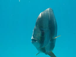 Check spelling or type a new query. Seychellen Ein Naturpardies Master Yachting