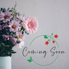 It's easy to overlook a wild clump of forget me not because most plants produce small flowers. Jean Page Floral Boutique Watford Florist Same Day Delivery