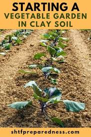 But, fear not we got you. Pin Auf Fruit Veggies Herbs