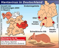 Hantavirus karte deutschland 2019 hantavirus karte hantavirus koln hantavirus life cycle. Hantavirus Infektionen