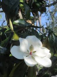 Maybe you would like to learn more about one of these? Visit