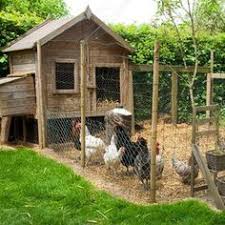 Tout Ce Qu Il Faut Savoir Pour Avoir Un Poulailler Parfait Poulailler Plan Poulailler Poulailler 4 Poules
