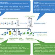 Mind map manufacturing substances in industry spm chemistry. The Biologics Manufacturing Process And The Manufacturing Steps That Download Scientific Diagram