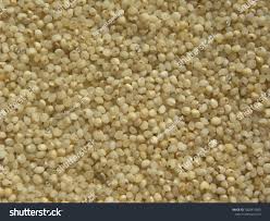 Image result for Echinochloa frumentacea