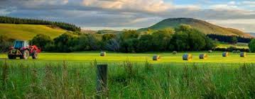 17 nov 2021 'it hits you hard': New Zealand Hay Jigsaw Puzzle