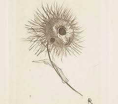 We did not find results for: Analysis Aku No Hana The Flowers Of Evil Hana Ga Saita Yo