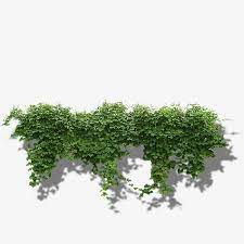 Millions Of Png Images Backgrounds And Vectors For Free Download Pngtree Tree Photoshop Architectural Trees Trees To Plant