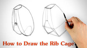 Rib cage drawing bone drawing anatomy drawing drawing skills drawing lessons drawing tips drawing reference drawing tutorials. How To Draw The Rib Cage Human Anatomy For Artists Youtube
