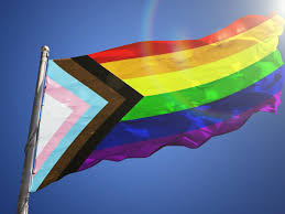 13 lgbtq pride flags and what they stand for. Boise Pride Goes Virtual With A New Theme And A New Flag To Celebrate Culture Idahopress Com