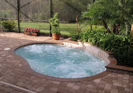 You want to keep the pool comparative to the amount of space you actually have. 40 Great Small Swimming Pools Ideas Home Design Lover