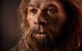 Du point de vue de la forme, la science mat�rielle, en faisant la synth�se de ses nombreuses et patientes observations. La Date De L Ancetre Commun Des Humains Modernes Et De Neandertal Fait Debat Le Parisien