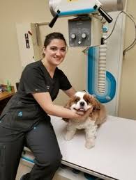 As a clinic specializing in preventive care we are able to offer. Care Pet Clinic Naktala