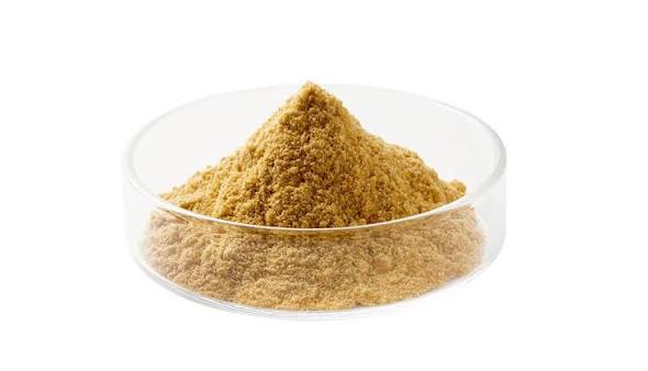 FucoBalan® Fucoxanthin Powder Suppplier | Hi-Q Marine Biotech International Ltd