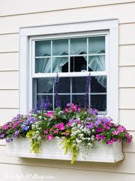 Introducing our exciting new flower subscription! 5 Tips For Gorgeous Window Boxes The Lilypad Cottage