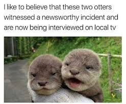 55 Today S Most Funny Memes 189 Mostly Memes Funny Animal Pictures Funny Animal Memes Funny Animals