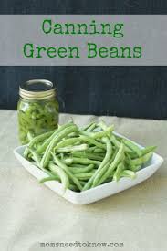 Relevance popular quick & easy. Canning Green Beans How To Pressure Can Green Beans
