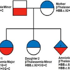 Pedigree Chart Depicting The Autosomal Recessive Inheritance