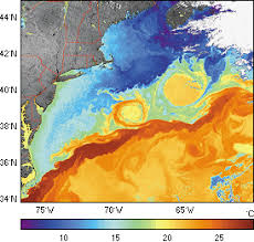 Southeast around cape hatteras, north carolina. Gulf Stream Kuroshio Aviso