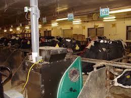 Testing forages to determine their nutrient content 2. Seaweed Feed Additive Cuts Livestock Methane But Poses Questions Penn State University