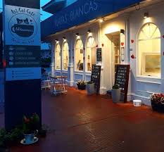 ADRIANUZCA'S CAT CAFÉ, Punta del Este - Fotos, Número de Teléfono y  Restaurante Opiniones - Tripadvisor