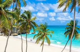 Best Time To Visit Barbados Climate Chart And Table