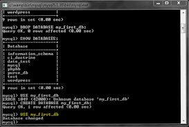 Return the name of the current (default) database the database() function returns the name of the current database. Sql Fur Anfanger Code Website Entwicklung Computerspiele Und Mobile Anwendungen