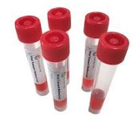 Oropharyngeal Adhesive Swab Flocked Viscose Swab-Test Sample Collection  Swab Test Disposable Swab