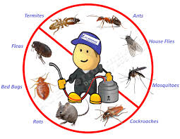 A bedbug extermination expert can cost up to $500 for an initial inspection and quote (particularly if a dog is used) and then $500 to $1000+ for the bed bug s pest control treatment itself. Control Of Pests And Rodents Pestofcontrol Blogspot Com