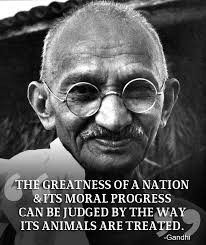 PETA (People for the Ethical Treatment of Animals)