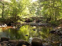 Check spelling or type a new query. Hike New England Stepstone Falls Via Ben Utter Trail