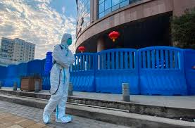 Последние твиты от world health organization (who) (@who). The Who Report Into The Origin Of The Coronavirus Is Out Here S What Happens Next Says The Australian Doctor Who Went To China