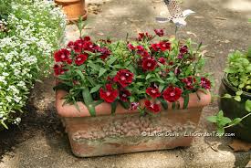 In which case, you can fill your landscape with plants they would prefer not to indulge on. Deer Resistant Plants Lil S Garden Tour