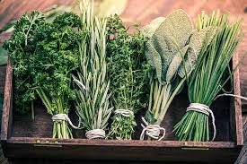 Maybe you would like to learn more about one of these? How To Freeze Fresh Herbs For Storage Gardener S Path