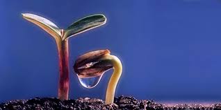 Прощена неділя 2021 року випадає на 14 березня. Proshena Nedilya 14 Bereznya Znamenni Dati Potochnogo Kalendarnogo Roku Kalendar Svyata Ta Podiyi