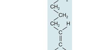 Image result for Fatty Acid