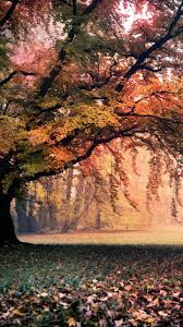 Check out this fantastic collection of 1440x2560 wallpapers, with 40 1440x2560 background images for your desktop, phone or tablet. 1440 X 2560 Images For Phone Pixelstalk Net