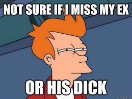 Not sure if I miss my ex Or his dick - Futurama Fry - quickmeme