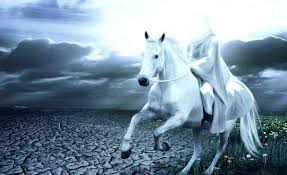 Dalam ajaran islam, imam mahdi ialah seorang muslim berusia muda yang akan dipilih oleh allah s.w.t. Imam Mahdi Tvtarekat