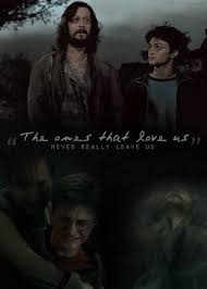 The Ones That Love Us Never Really Leave Us Quote Harry Potter Universe On With Images Harry Potter Universal Harry Potter Harry Potter World