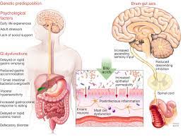 Common Functional Gastroenterological Disorders Associated With Abdominal Pain Mayo Clinic Proceedings