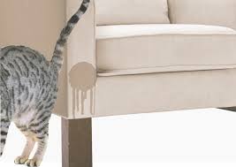 When a cat that's previously always covered its litter box deposits stops. Help My Cat Peeing Outside Her Litter Box Cat Loves Best