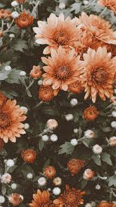 Check spelling or type a new query. Flower Aesthetic Vintage Wallpapers Top Free Flower Aesthetic Vintage Backgrounds Wallpaperaccess