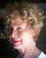 Meet the Instructors