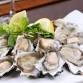 Brisbane Water Oyster Festival event image