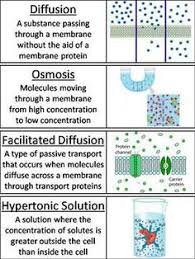 Passive And Active Cell Transport Word Wall Cards In 2020 Biology Lessons Medical School Studying Biology Classroom