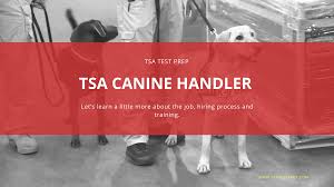 Tsa Canine Handler Hiring Process Tsa Test Prep
