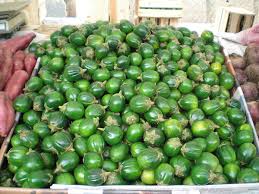 Image result for Gilgiochloa