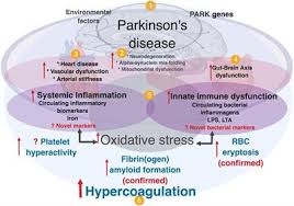 Learning about the disease and what you can expect, goes a long way to making your journey more. Frontiers Parkinson S Disease A Systemic Inflammatory Disease Accompanied By Bacterial Inflammagens Frontiers In Aging Neuroscience